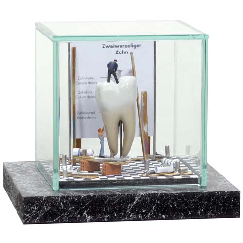 Tooth White (Super mini)