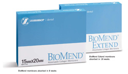 BioMend Extend 30x40mm