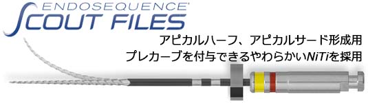 EndoSequence Scout Files