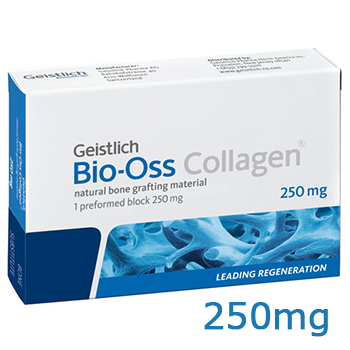 Bio-Oss Collagen 250mg