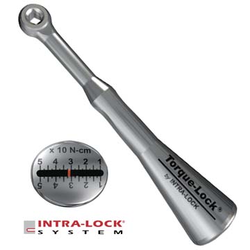 Torque-Lock Wrench